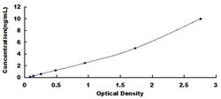 Biomatik Corporation Human Cereblon (CRBN) ELISA Kit, Quantity: Each of