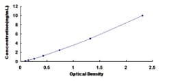 Biomatik Corporation Rat Cathepsin G (CTSG) ELISA Kit, Quantity: Each of