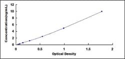 Biomatik Corporation Human Caspase 6 (CASP6) ELISA Kit, Quantity: Each