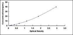 Biomatik Corporation Human Calumenin (CALU) ELISA Kit, Quantity: Each of