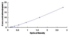 Biomatik Corporation Mouse Calpain 10 (CAPN10) ELISA Kit, Quantity: Each