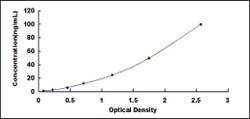 Biomatik Corporation Mouse Calpain 1 (CAPN1) ELISA Kit, Quantity: Each
