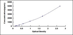 Biomatik Corporation Human Calcyclin Binding Protein (CACYBP) ELISA Kit,