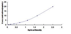 Biomatik Corporation Human Calcium/Calmodulin Dependent Protein Kinase