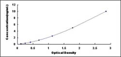 Biomatik Corporation Human Calcium/Calmodulin Dependent Protein Kinase