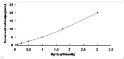 Biomatik Corporation Human Bridging Integrator 2 (BIN2) ELISA Kit, Quantity: