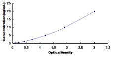Biomatik Corporation Human Anion/Sugar Transporter (AST) ELISA Kit, Quantity: