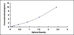 Biomatik Corporation Human A Disintegrin And Metalloprotease 22 (ADAM22)