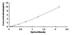 Biomatik Corporation Mouse 17-Beta-Hydroxysteroid Dehydrogenase Type 10