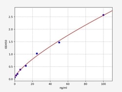 Biomatik Corporation Human HSPD1/HSP-60 (60 kDa heat shock protein, mitochondrial)