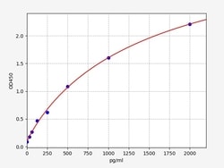 Biomatik Corporation Human MMP14 (Matrix metalloproteinase-14) ELISA Kit,