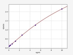 Biomatik Corporation Human KLK2 (Kallikrein-2) ELISA Kit, Quantity: Each