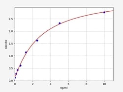 Biomatik Corporation Human CTXI (Cross Linked C-telopeptide of Type I Collagen)