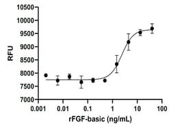 Biolegend&nbsp;Recombinant Rat FGF-basic (carrier-free) Reactivity: Rat; Apps: BA; Size: 100 ug