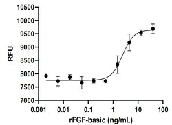 Biolegend&nbsp;Recombinant Rat FGF-basic (carrier-free) Reactivity: Rat; Apps: BA; Size: 25 ug
