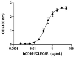 Biolegend Recombinant Human CLEC2D/OCIL (carrier-free) Reactivity: Human;