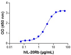 Biolegend&nbsp;Recombinant Human IL-20 (carrier-free) Reactivity: Human; Apps: BA; Size: 100 ug