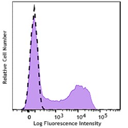 Biolegend GMP PE anti-human CD45RO [UCHL1]; Isotype: Mouse IgG2a, κ; Reactivity: