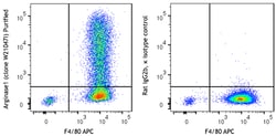 Biolegend Purified anti-mouse Arginase 1 [W21047I]; Isotype: Rat IgG2b,