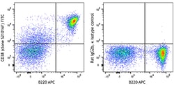 Biolegend FITC anti-mouse CD38 [S21016F]; Isotype: Rat IgG2b, κ; Reactivity: