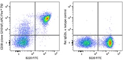 Biolegend APC/Fire 750 anti-mouse CD38 [S21016F]; Isotype: Rat IgG2b, κ;