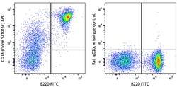 Biolegend APC anti-mouse CD38 [S21016F]; Isotype: Rat IgG2b, κ; Reactivity: