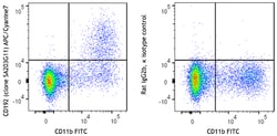 Biolegend APC/Cyanine7 anti-mouse CD192 (CCR2) [SA203G11]; Isotype: Rat