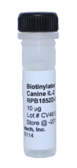 Kingfisher Biotech Inc Canine IL-2 Biotinylated Recombinant Protein (Yeast,