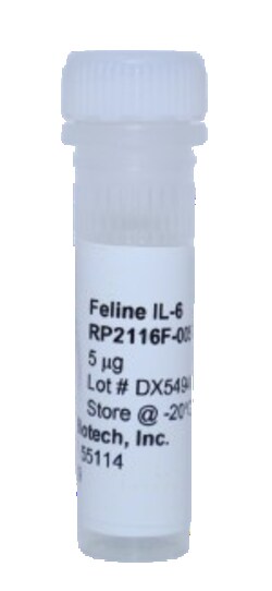 Kingfisher Biotech Inc Feline IL-6 Recombinant Protein (Yeast, Endotoxin