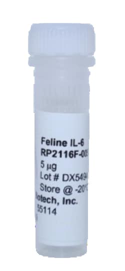 Kingfisher Biotech Inc Feline IL-6 Recombinant Protein (Yeast, Endotoxin