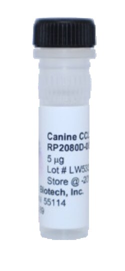 Kingfisher Biotech Inc Canine CCL17 Recombinant Protein (Yeast, Endotoxin