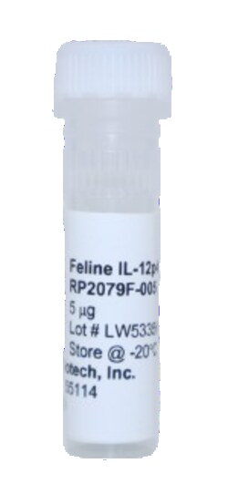 Kingfisher Biotech Inc Feline IL-12 p40 Recombinant Protein (Yeast, Endotoxin