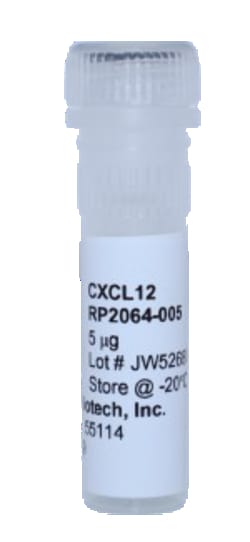 Kingfisher Biotech Inc Multi-species CXCL12 (Human, Dolphin, Guinea Pig,