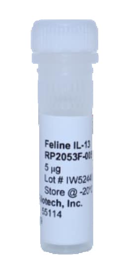 Kingfisher Biotech Inc&nbsp;Feline IL-13 Recombinant Protein (Yeast, Endotoxin - Free) - 5 ug