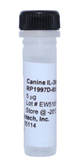 Kingfisher Biotech Inc Canine IL-36RA Recombinant Protein (Yeast, Endotoxin