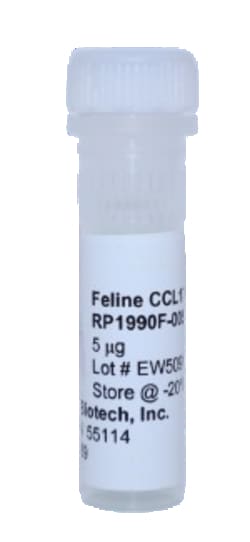Kingfisher Biotech Inc Feline CCL17 Recombinant Protein (Yeast, Endotoxin