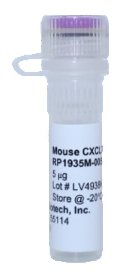 Kingfisher Biotech Inc Mouse CXCL7 Recombinant Protein (Yeast, Endotoxin