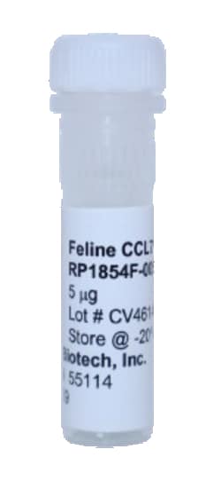 Kingfisher Biotech Inc Feline CCL7 Recombinant Protein (Yeast, Endotoxin