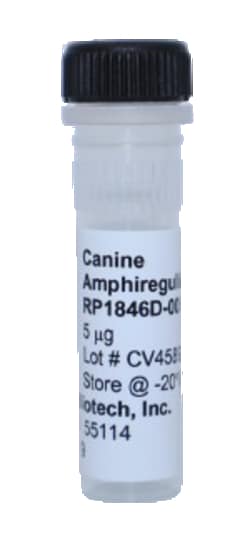 Kingfisher Biotech Inc Canine Amphiregulin Recombinant Protein (Yeast,