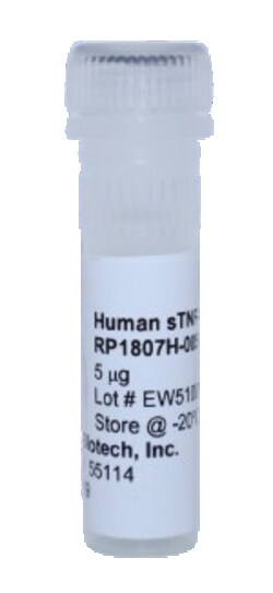 Kingfisher Biotech Inc Human TNF-R1 Recombinant Protein (Yeast, Endotoxin