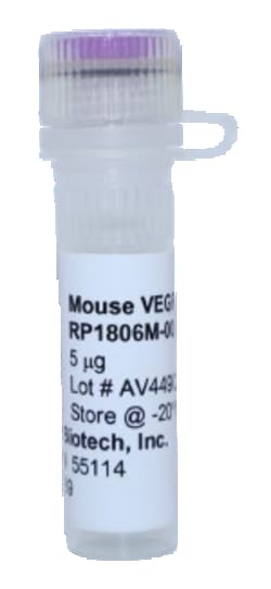 Kingfisher Biotech Inc Mouse VEGF-C Recombinant Protein (Yeast, Endotoxin