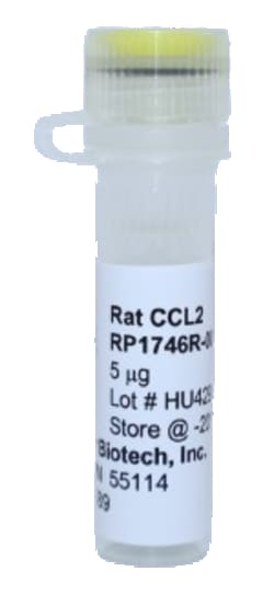 Kingfisher Biotech Inc Rat CCL2 Recombinant Protein (Yeast, Endotoxin -