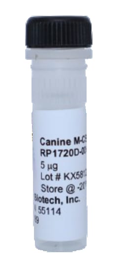 Kingfisher Biotech Inc Canine M-CSF Recombinant Protein (Yeast, Endotoxin