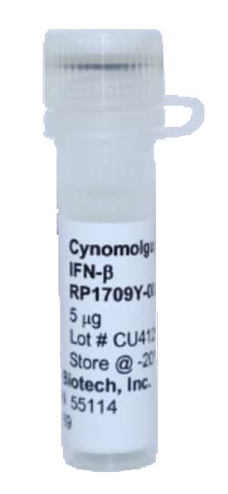 Kingfisher Biotech Inc Cynomolgus Monkey IFN beta Recombinant Protein (Yeast,