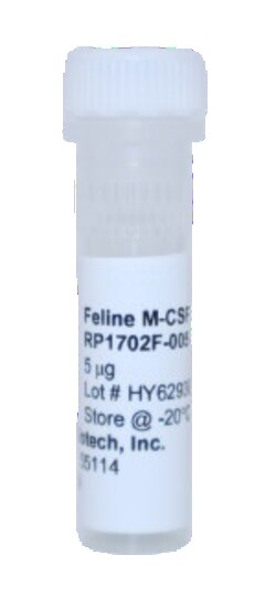 Kingfisher Biotech Inc Feline M-CSF Recombinant Protein (Yeast, Endotoxin