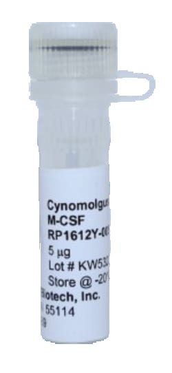 Kingfisher Biotech Inc Cynomolgus Monkey M-CSF Recombinant Protein (Yeast,