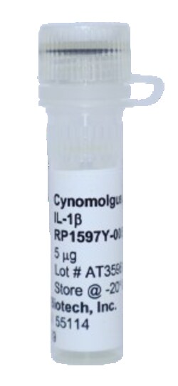 Kingfisher Biotech Inc Cynomolgus Monkey IL-1 beta Recombinant Protein