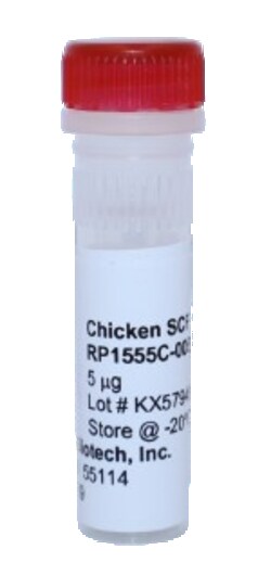 Kingfisher Biotech Inc Chicken SCF Recombinant Protein (Yeast, Endotoxin