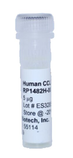 Kingfisher Biotech Inc Human CCL2 (MCP-1) Recombinant Protein (Yeast, Endotoxin