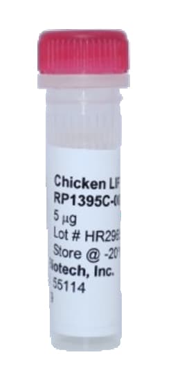 Kingfisher Biotech Inc Chicken LIF Recombinant Protein (Yeast, Endotoxin